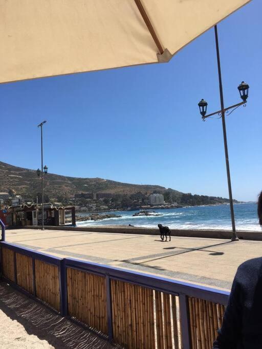 Apartamento Tranquilidad Entre La Naturaleza Y Cercano Al Mar Papudo