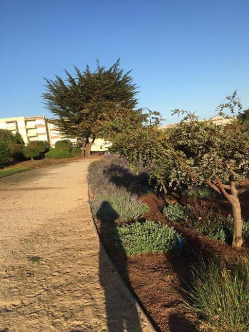Tranquilidad Entre La Naturaleza Y Cercano Al Mar Apartamento