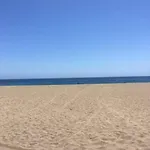 Tranquilidad Entre La Naturaleza Y Cercano Al Mar