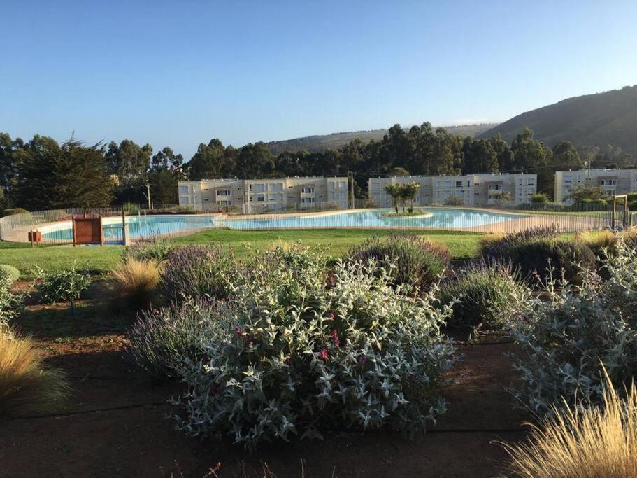 Tranquilidad Entre La Naturaleza Y Cercano Al Mar Apartamento Papudo